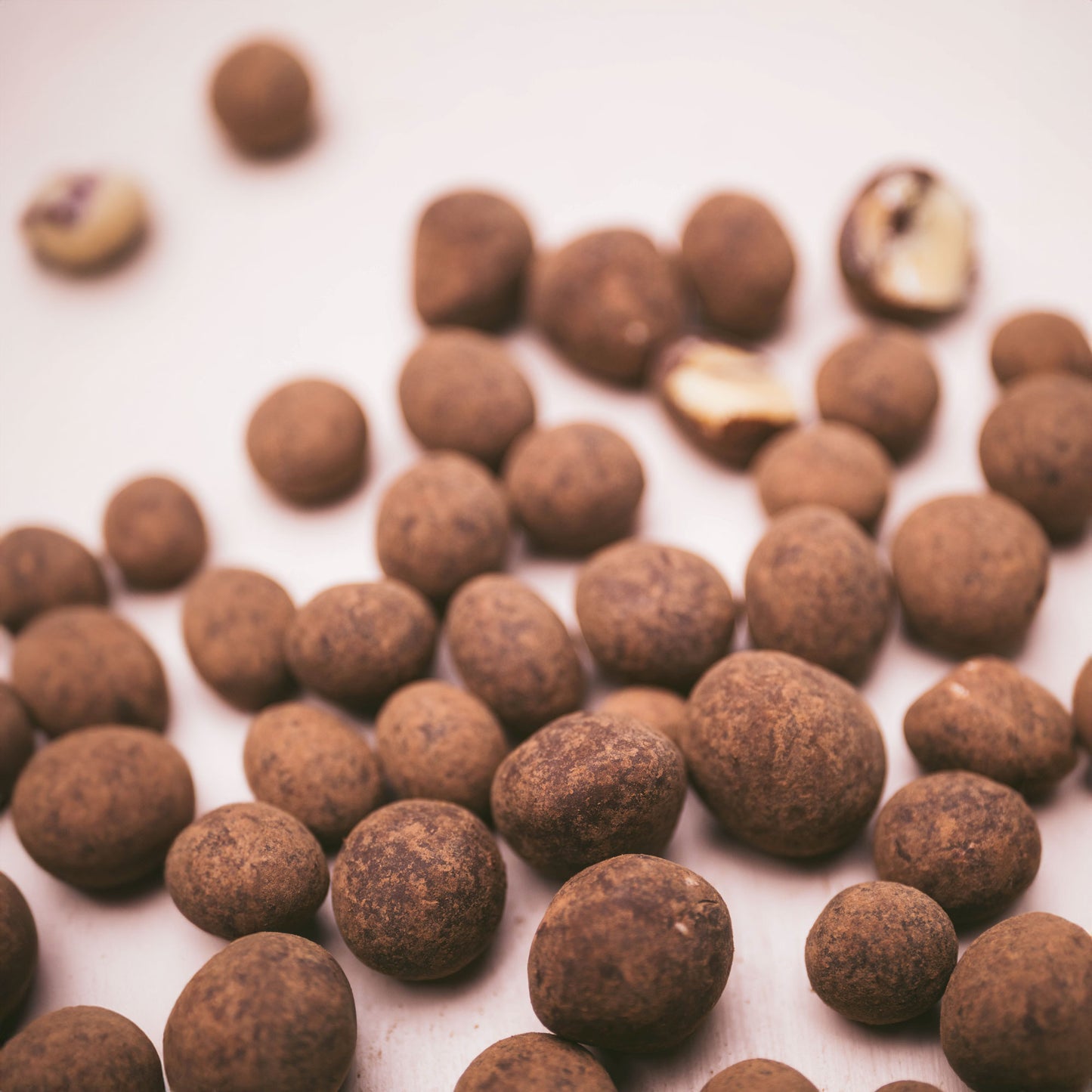 Chocolate Covered Macadamia Nuts