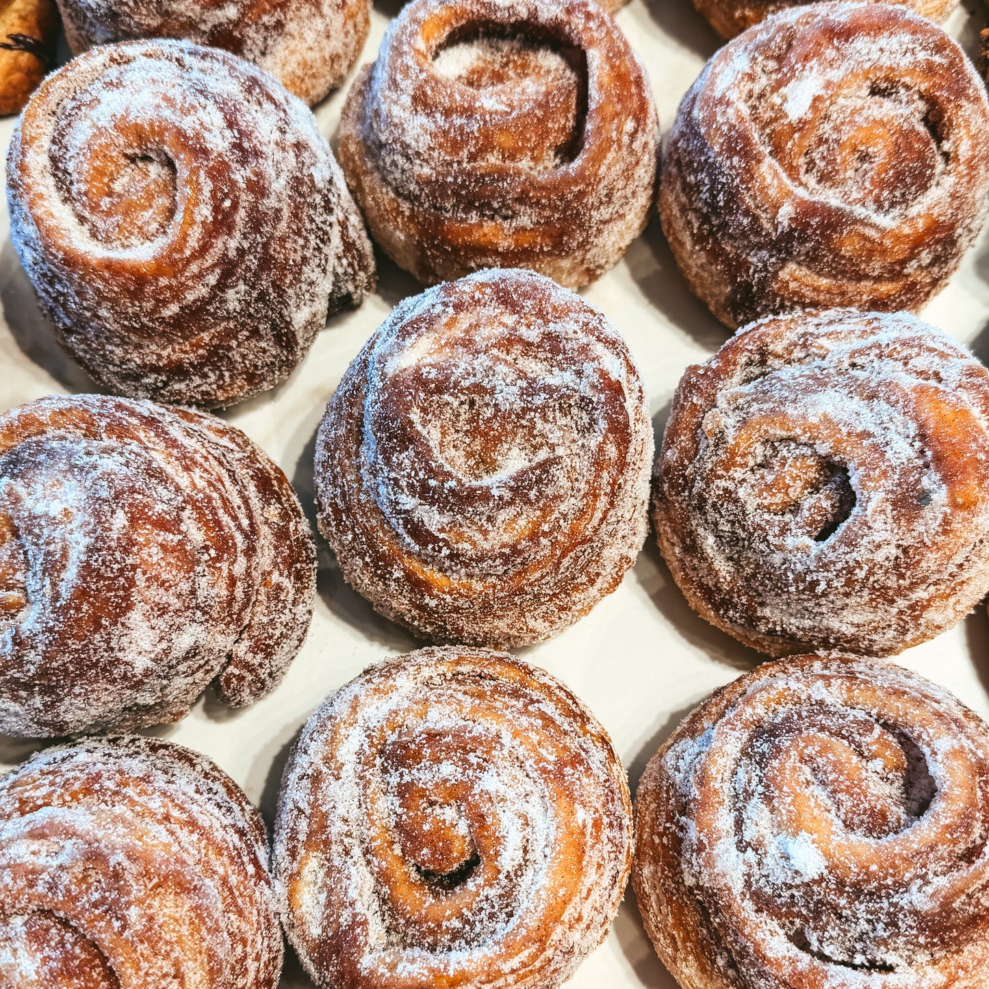 Morning bun